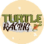 Turtle Racing